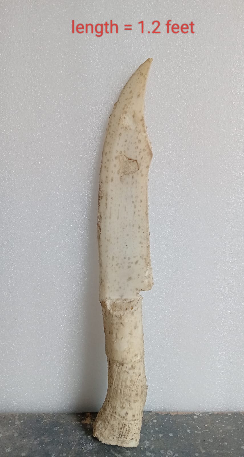 Antique dagger
